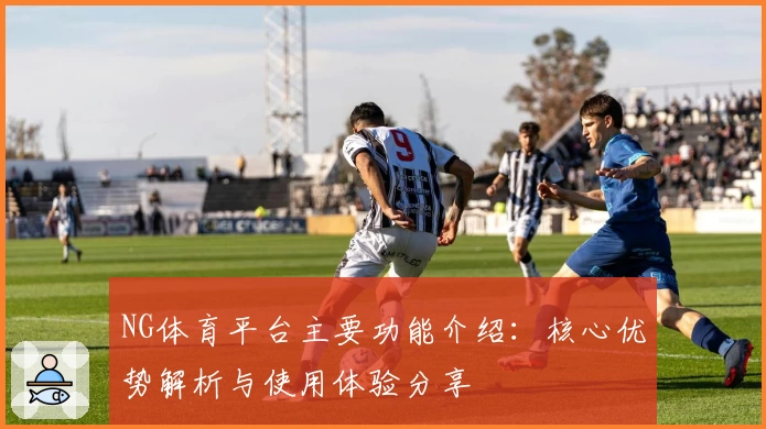 NG体育平台主要功能介绍：核心优势解析与使用体验分享