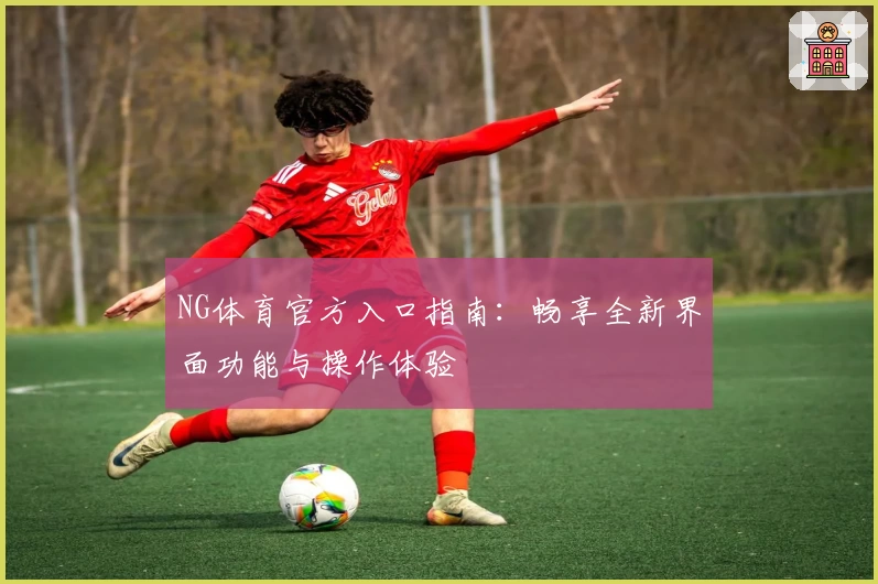 NG体育官方入口指南：畅享全新界面功能与操作体验