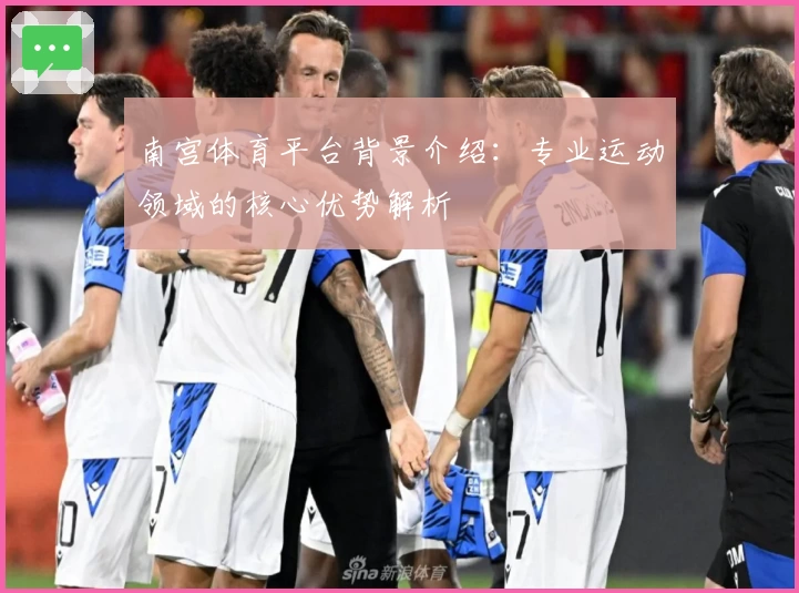 南宫体育平台背景介绍：专业运动领域的核心优势解析