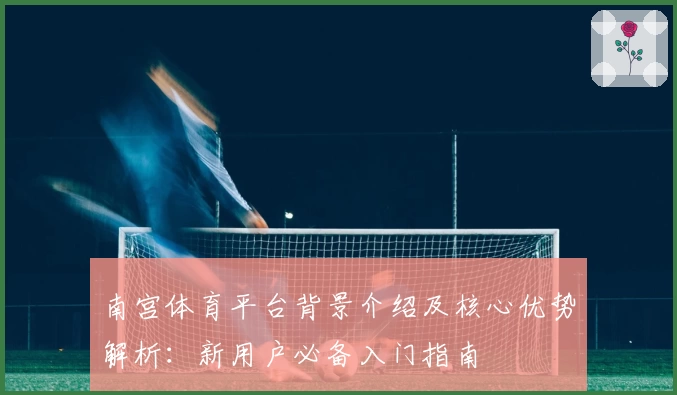 南宫体育平台背景介绍及核心优势解析：新用户必备入门指南